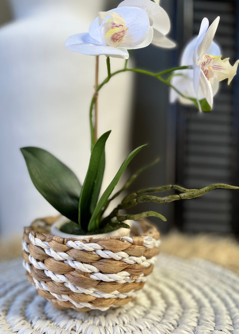 Woven basket - natural and white