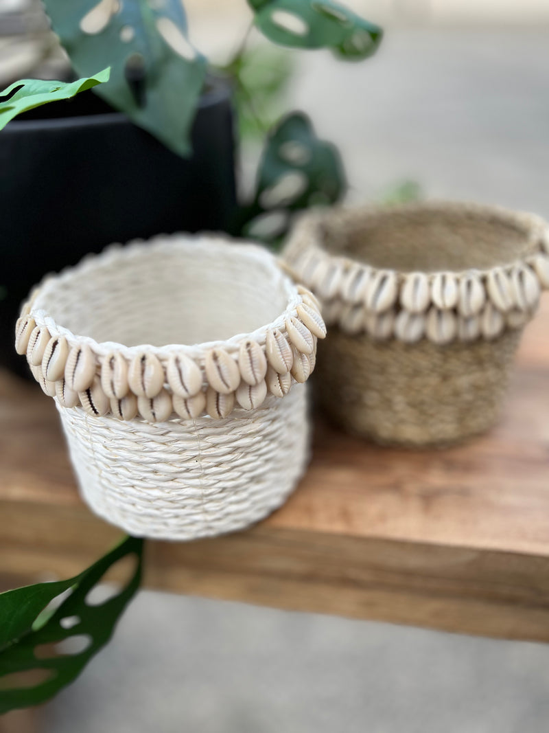 White basket with shell detail